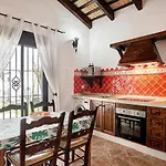 Elsa * Conil De La Frontera